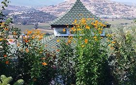 Olive Garden Retreat